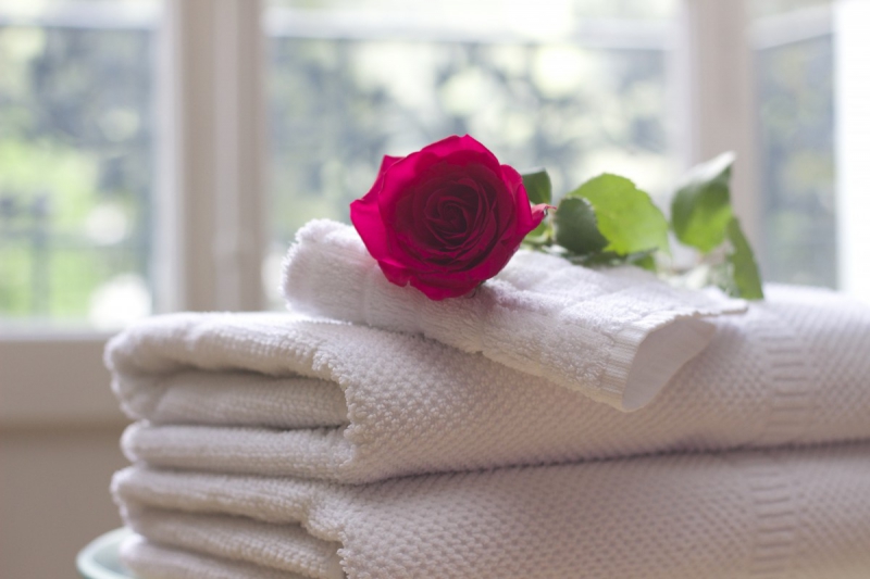 chambre-hote-VERIGNON-min_towel_rose_clean_care_salon_spa_white_bath-731641